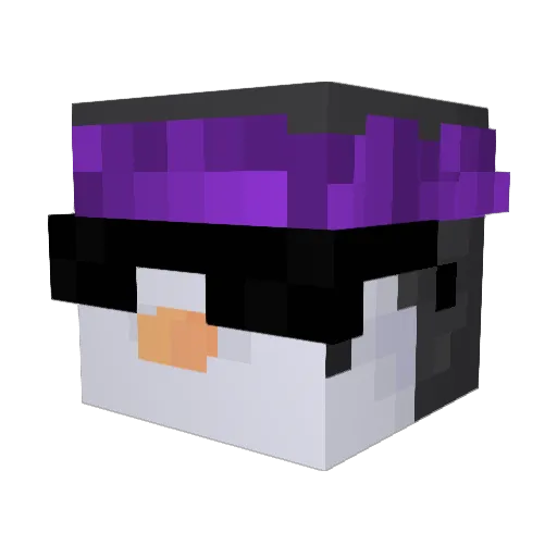 yKingDasher_ Minecraft avatar head, 3D render