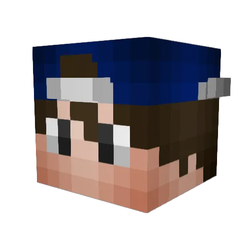 yLebronBDF_ Minecraft avatar head, 3D render