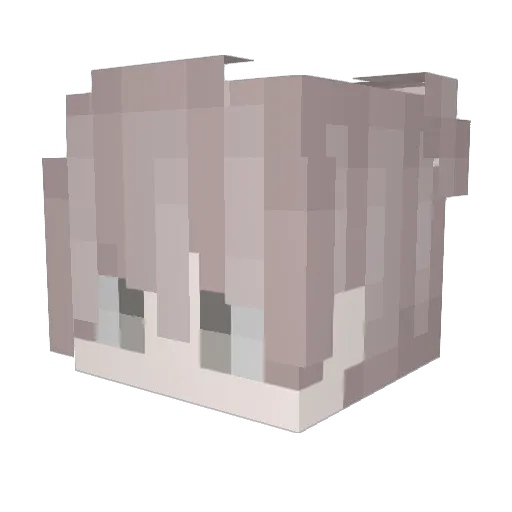 yLil_ Minecraft avatar head, 3D render