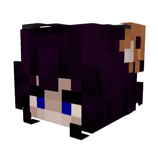 yNightWish Minecraft avatar head, 3D render