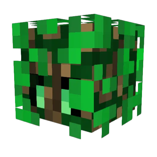 yPietroBr Minecraft avatar head, 3D render