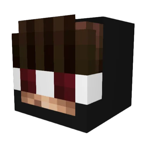 ySean Minecraft avatar head, 3D render