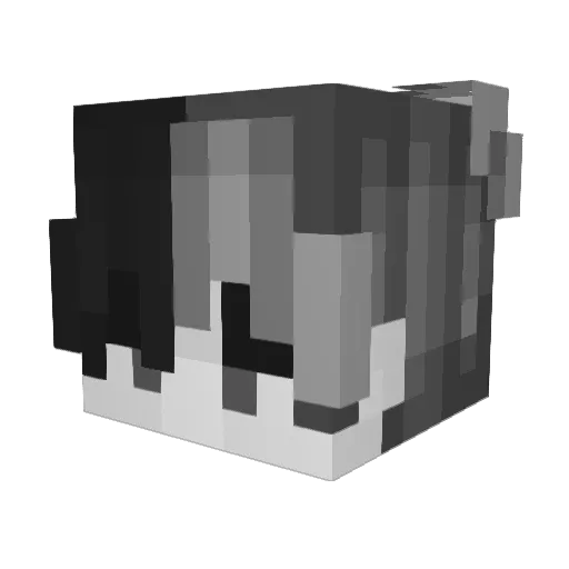 ySnowzz_ Minecraft avatar head, 3D render