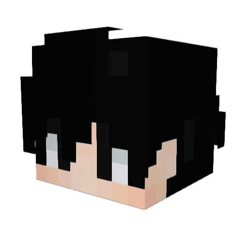 ySwits_ Minecraft avatar head, 3D render