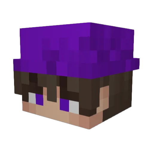 yTyler Minecraft avatar head, 3D render