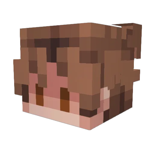 yVegas96 Minecraft avatar head, 3D render
