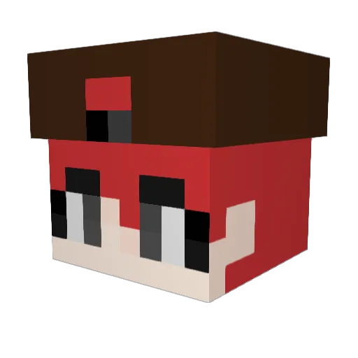 y_juno Minecraft avatar head, 3D render