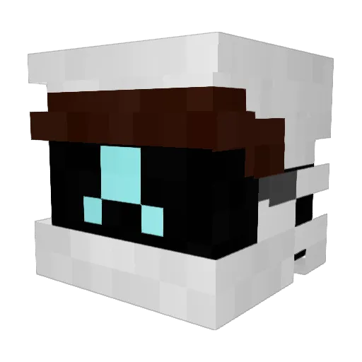 y_llusion Minecraft avatar head, 3D render