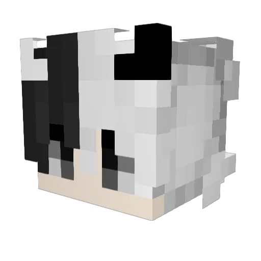 y_momo Minecraft avatar head, 3D render
