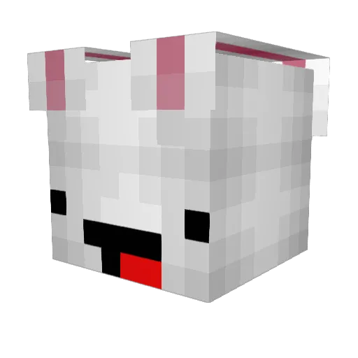 y_rielle Minecraft avatar head, 3D render