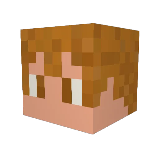 ya22334g Minecraft avatar head, 3D render