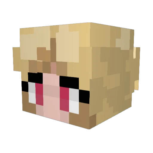 yaameow Minecraft avatar head, 3D render