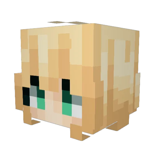 yaboyjason Minecraft avatar head, 3D render