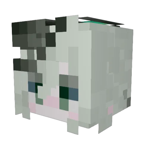 yadeemun Minecraft avatar head, 3D render