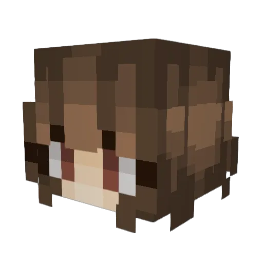 yael127 Minecraft avatar head, 3D render