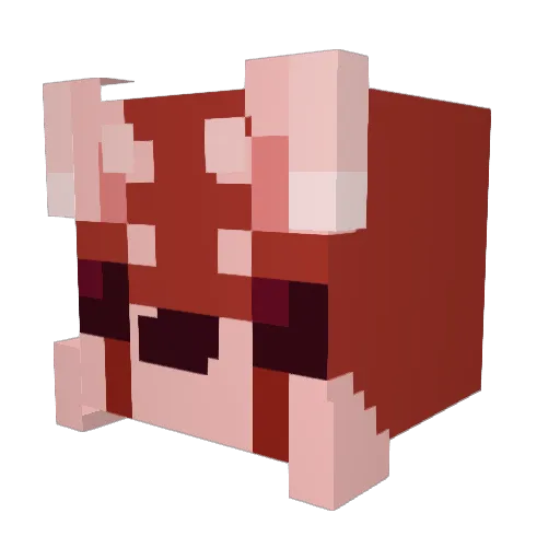 yaguarasu Minecraft avatar head, 3D render