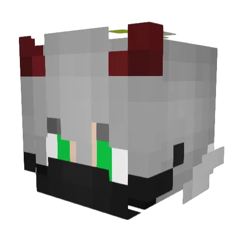 yairking1589 Minecraft avatar head, 3D render