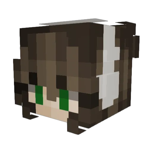 yajme11 Minecraft avatar head, 3D render
