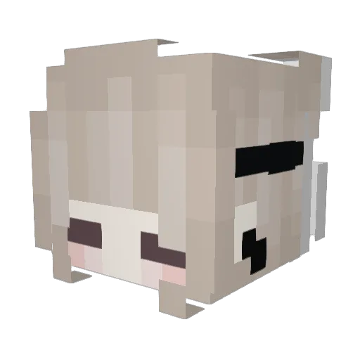 yakoPPP Minecraft avatar head, 3D render