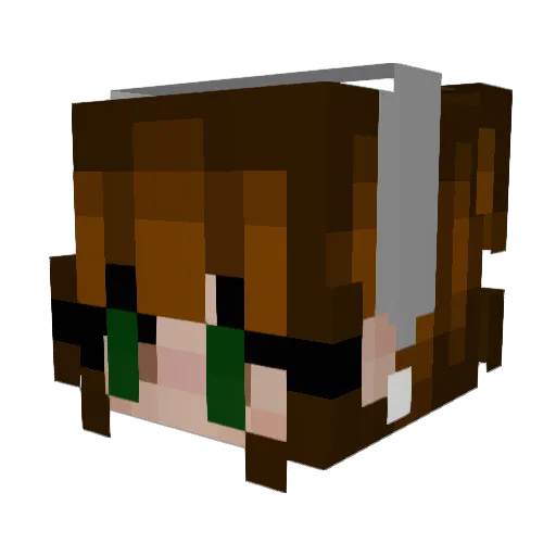 yall20 Minecraft avatar head, 3D render