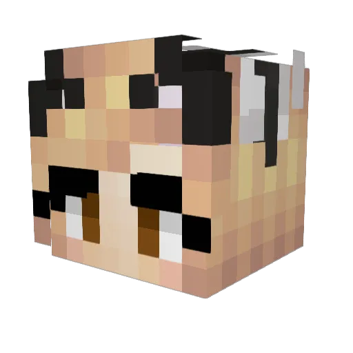 yamestoy Minecraft avatar head, 3D render