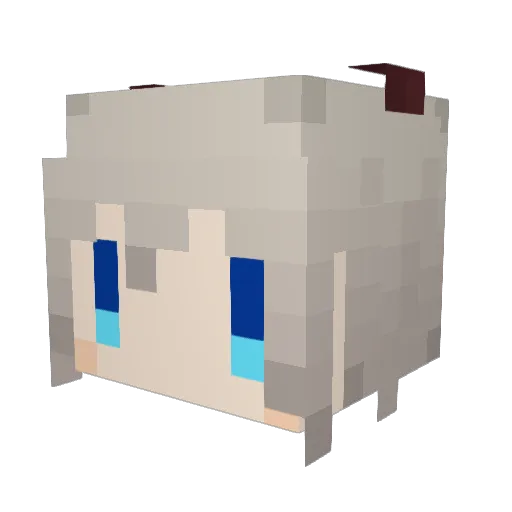 yamyam1111111 Minecraft avatar head, 3D render