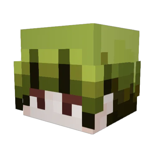 yan_s_zone Minecraft avatar head, 3D render