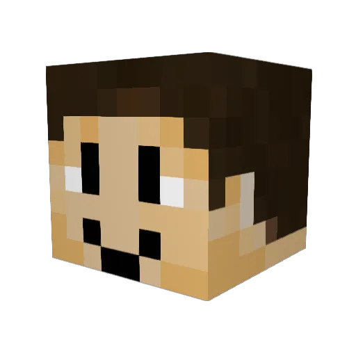 yanac0_0 Minecraft avatar head, 3D render
