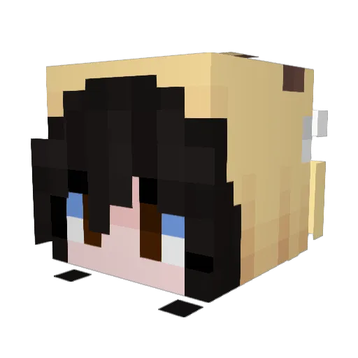 yanavanana Minecraft avatar head, 3D render