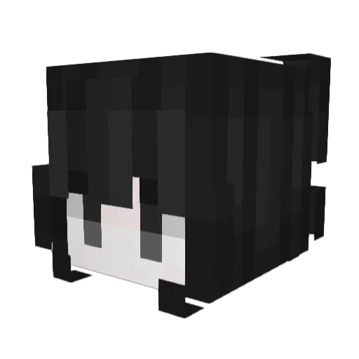 yancypvp Minecraft avatar head, 3D render