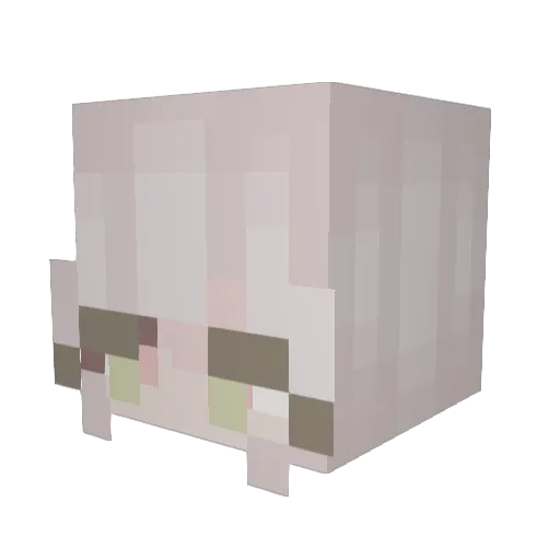 yandereshrek69 Minecraft avatar head, 3D render