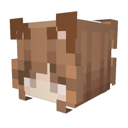 yang_618 Minecraft avatar head, 3D render