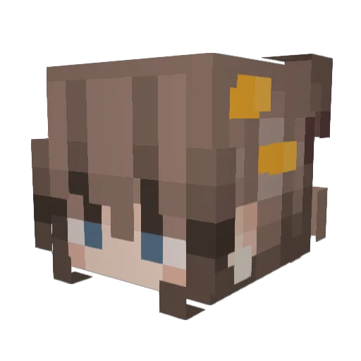 yanggie11 Minecraft avatar head, 3D render
