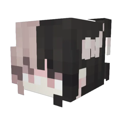 yangjr2401 Minecraft avatar head, 3D render