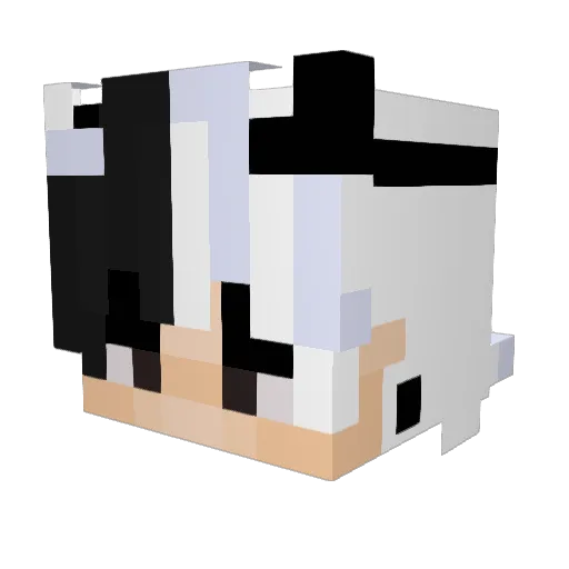 yangmoe Minecraft avatar head, 3D render
