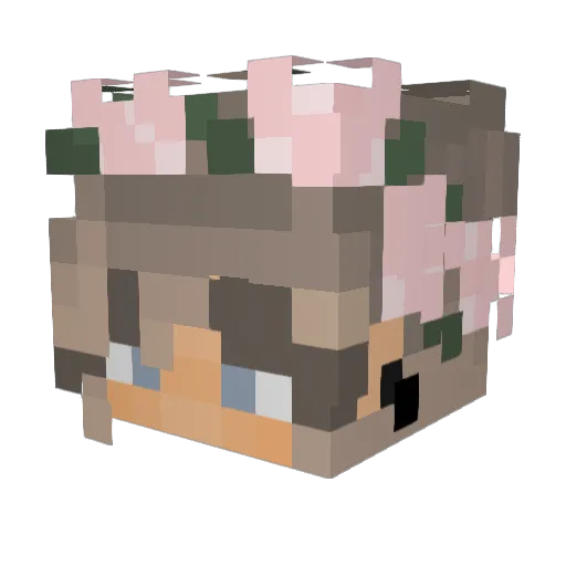 yangwat Minecraft avatar head, 3D render