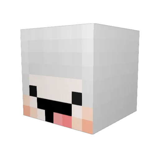 yangyeQAQ Minecraft avatar head, 3D render
