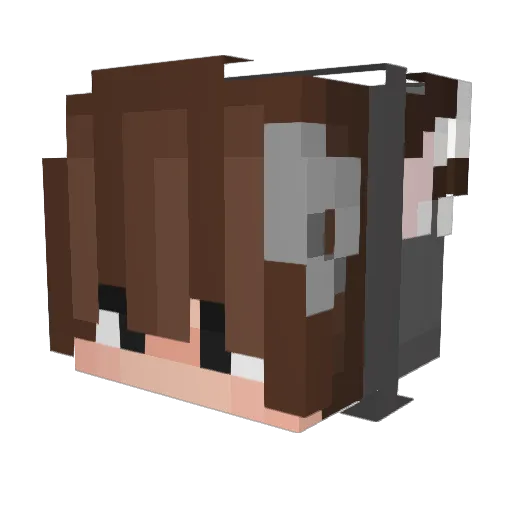 yaniss69200 Minecraft avatar head, 3D render