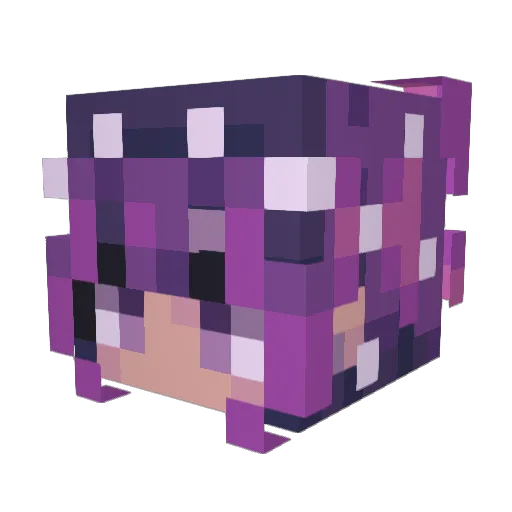 yaniv21 Minecraft avatar head, 3D render