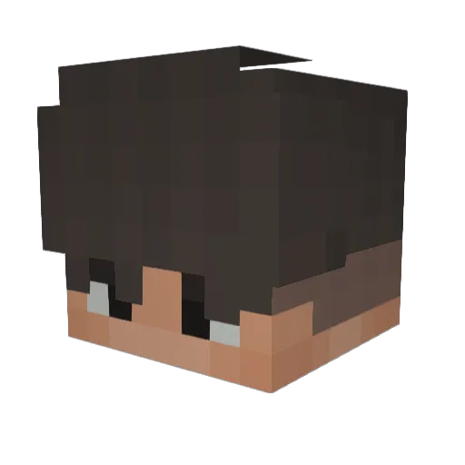 yanixkxvii Minecraft avatar head, 3D render