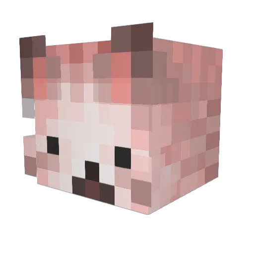 yanjerry Minecraft avatar head, 3D render