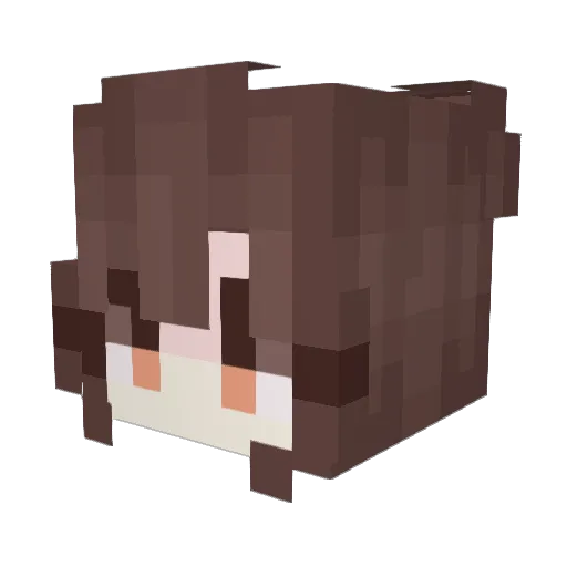 yankeefreak13 Minecraft avatar head, 3D render