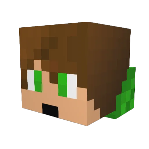 yanne2 Minecraft avatar head, 3D render