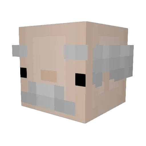 yannik0305 Minecraft avatar head, 3D render