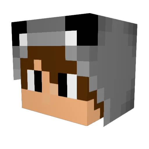 yanship Minecraft avatar head, 3D render
