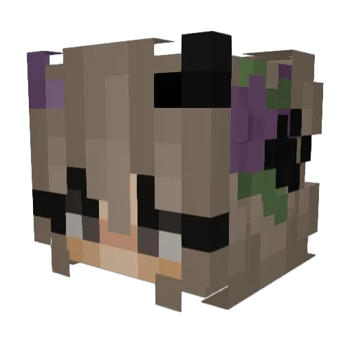 yantenotfound Minecraft avatar head, 3D render