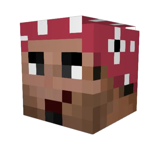 yarnsulu Minecraft avatar head, 3D render