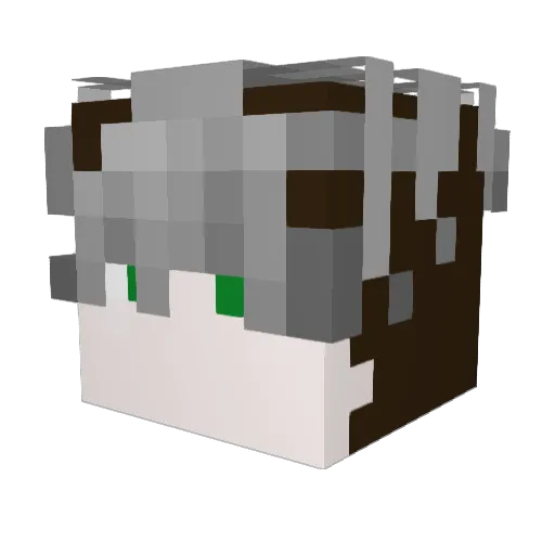 yas_09 Minecraft avatar head, 3D render
