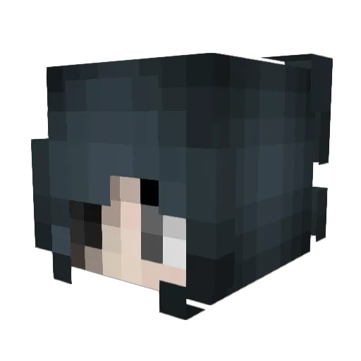 yasexw Minecraft avatar head, 3D render