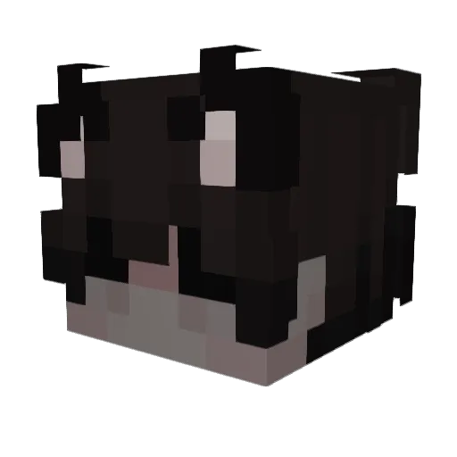 yashin150 Minecraft avatar head, 3D render